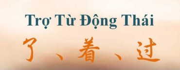 Thực hành luyện tập trợ từ động thái 了、着、过